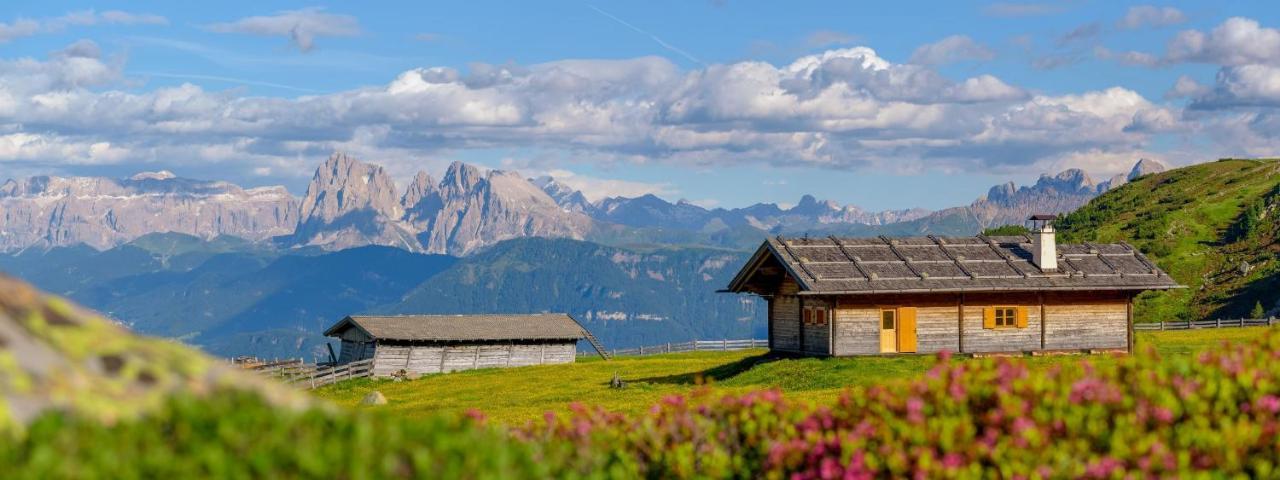 Sonnenhotel Adler Spa & Nature Adults Only Villandro Bagian luar foto